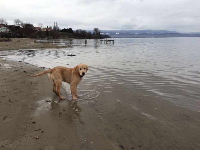 Shan Deu Lo Dama - Alf à la plage