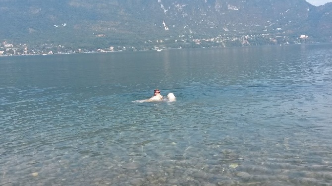 Shan Deu Lo Dama - baignade au lac du bourget