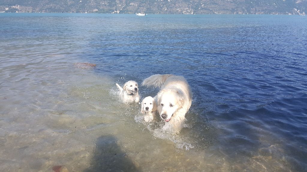 Shan Deu Lo Dama - 1ère baignade dans le lac