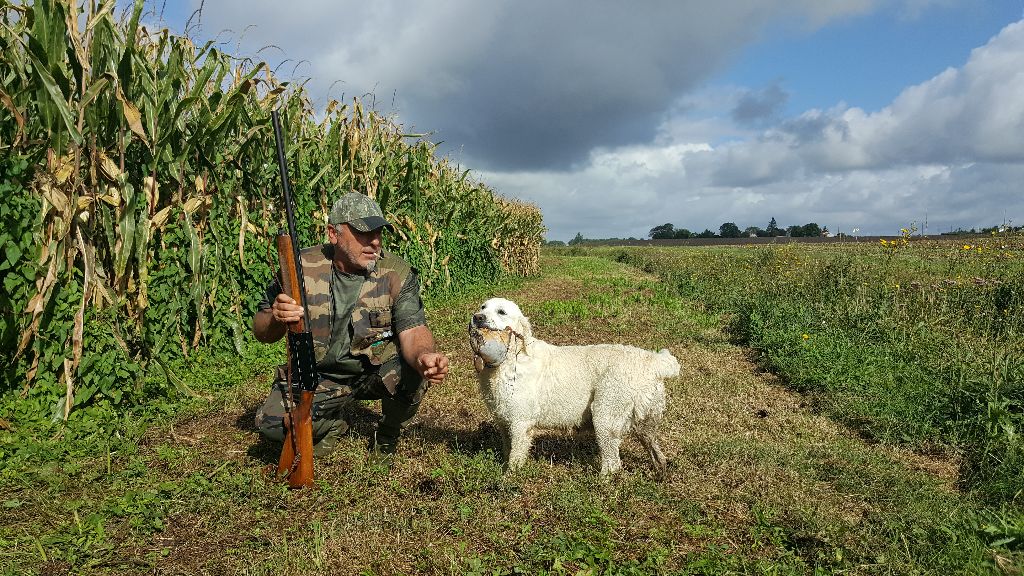 Shan Deu Lo Dama - Ouverture de la chasse