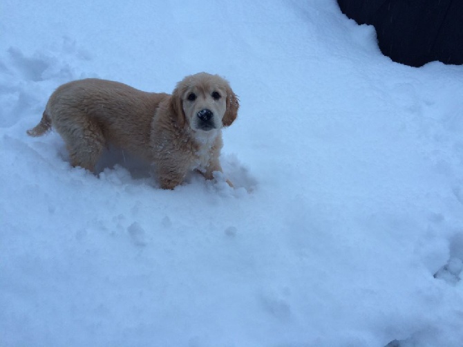 Shan Deu Lo Dama - Alf dans la neige !!