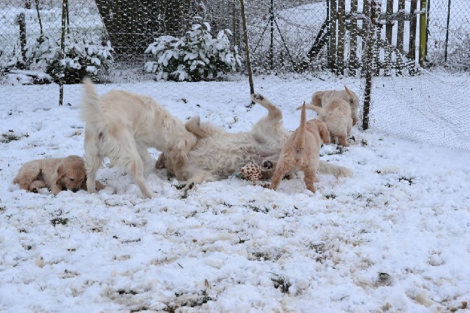 Shan Deu Lo Dama - Ce matin c'est la fête, encore de la neige !!!