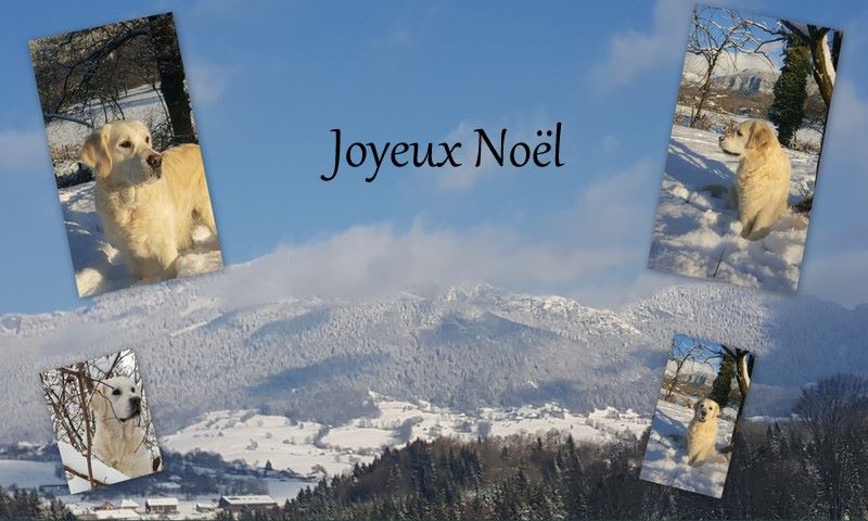 Shan Deu Lo Dama - Joyeux Noël