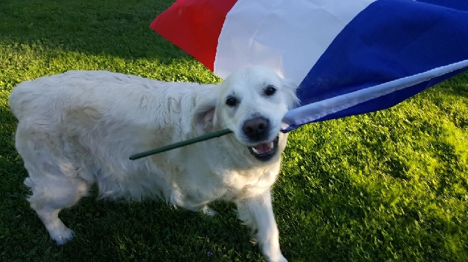 Shan Deu Lo Dama - Fidji soutient les bleus