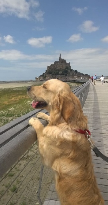 Shan Deu Lo Dama - Jowi au Mont St Michel