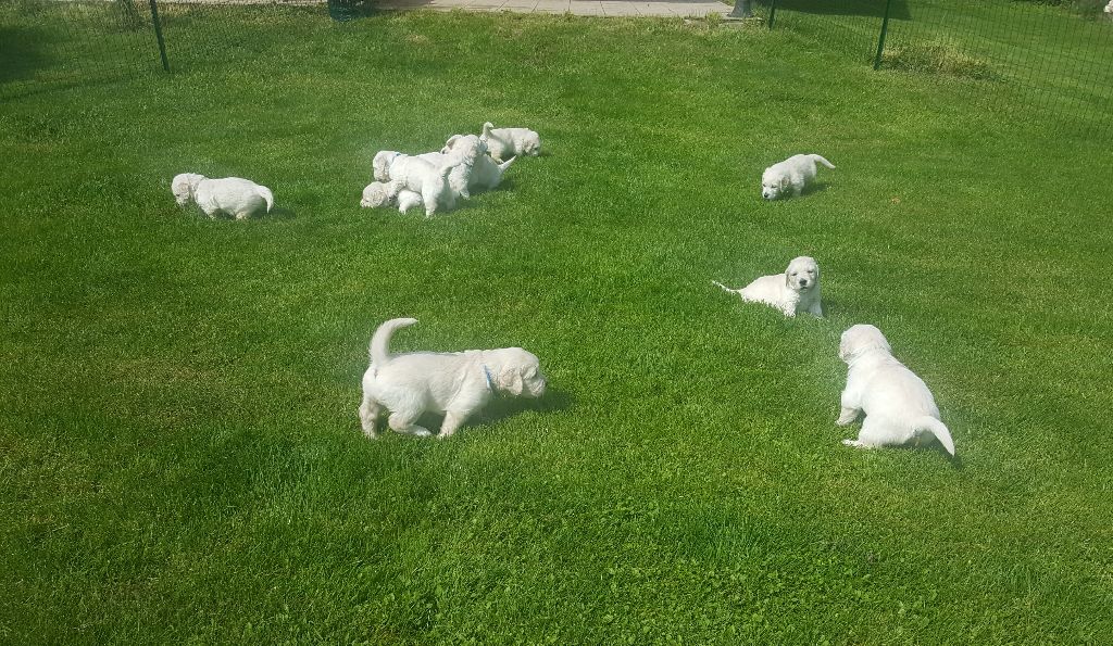 Shan Deu Lo Dama - Aujourd'hui les bébés ont 1 mois