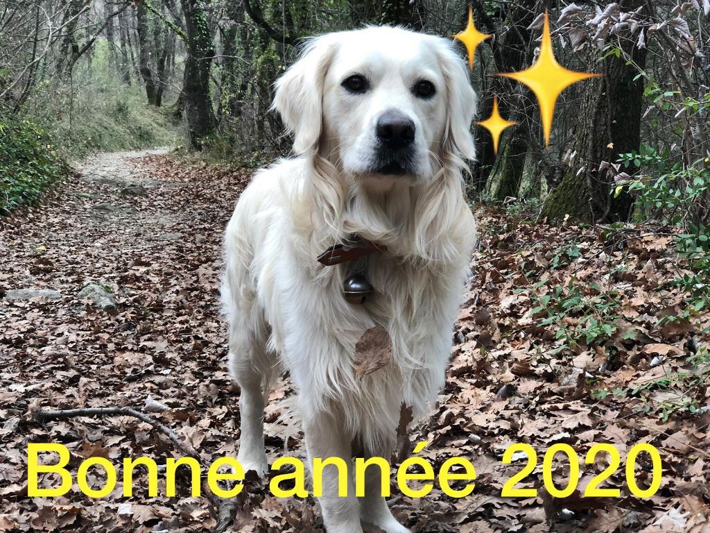 Shan Deu Lo Dama - Oni et ses voeux pour 2020