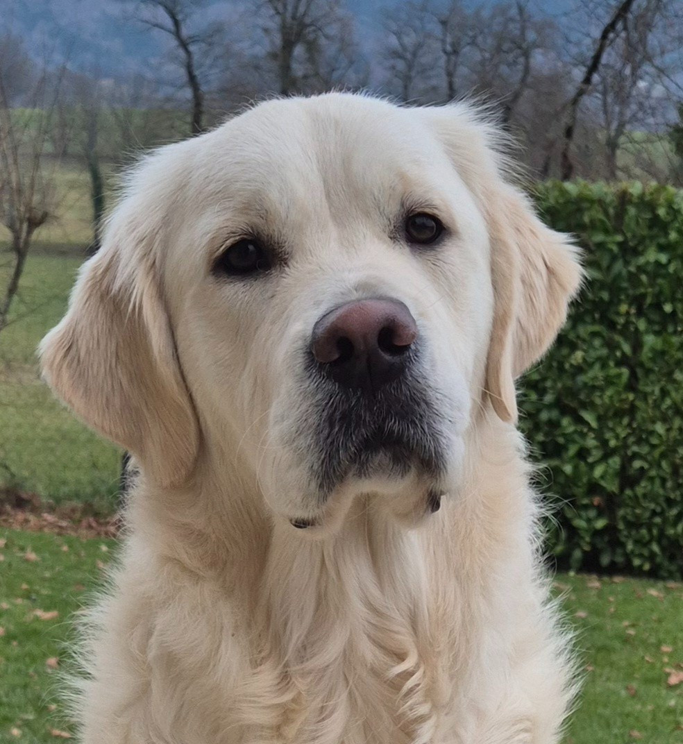 Aukena Des Hauts De L'Embellie