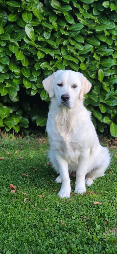 Aukena Des Hauts De L'Embellie