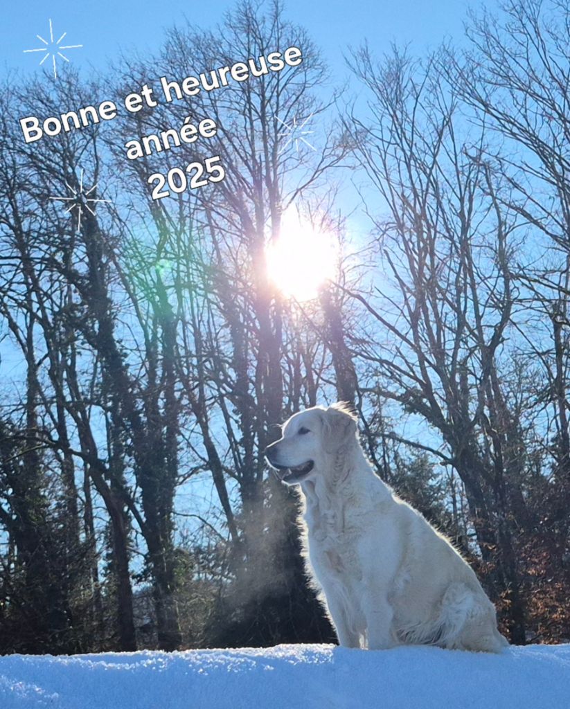 Shan Deu Lo Dama - Bonne année 2025