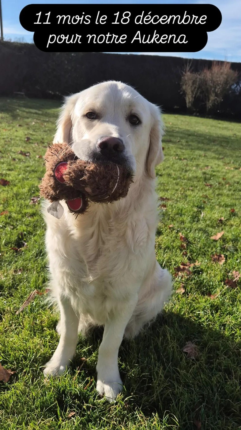 Shan Deu Lo Dama - 11 mois Aukena