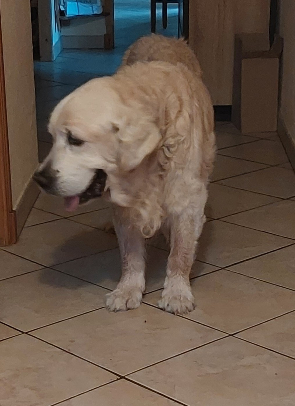 15 ans et 6 mois pour Falco