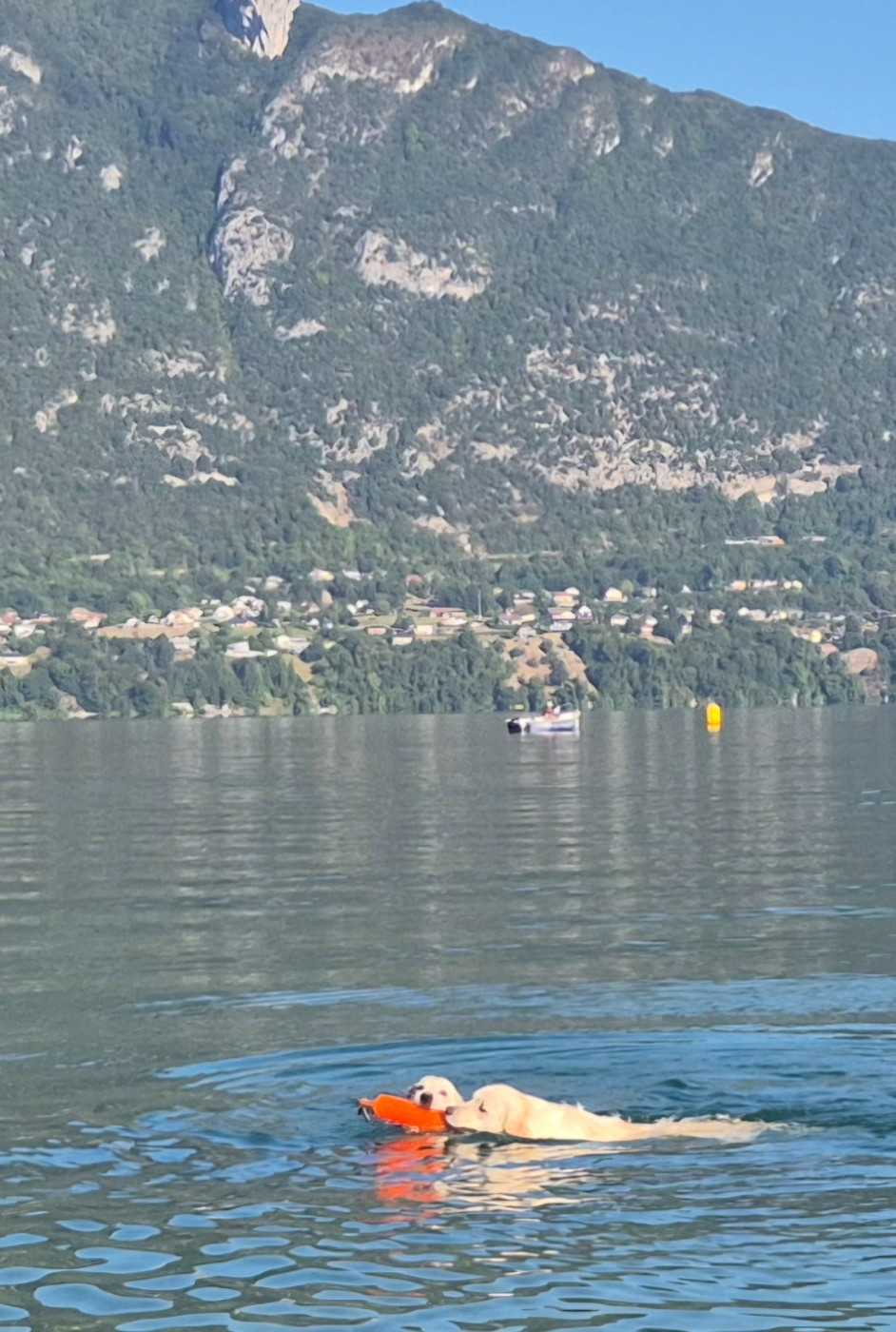 petite baignade avant la chaleur