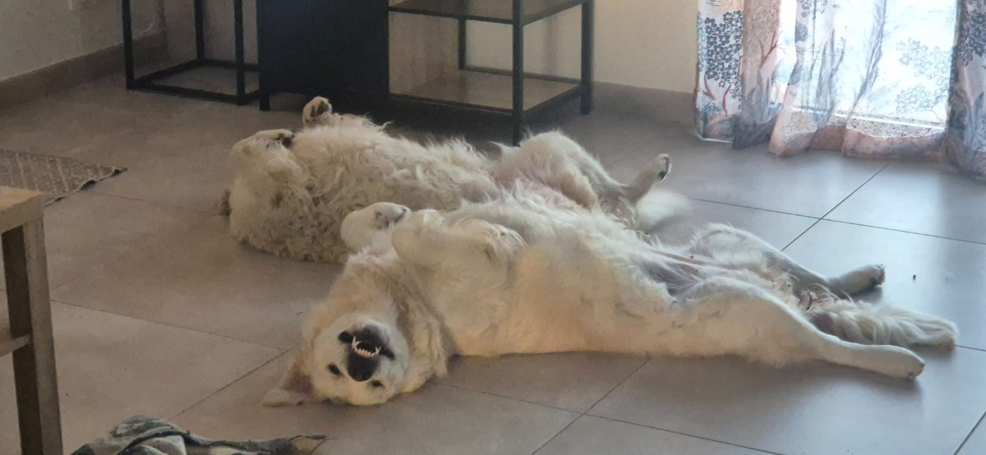 Moment détente