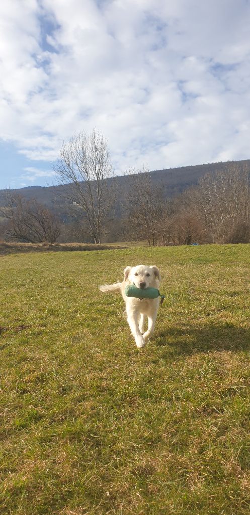 Shan Deu Lo Dama - Petits exercices