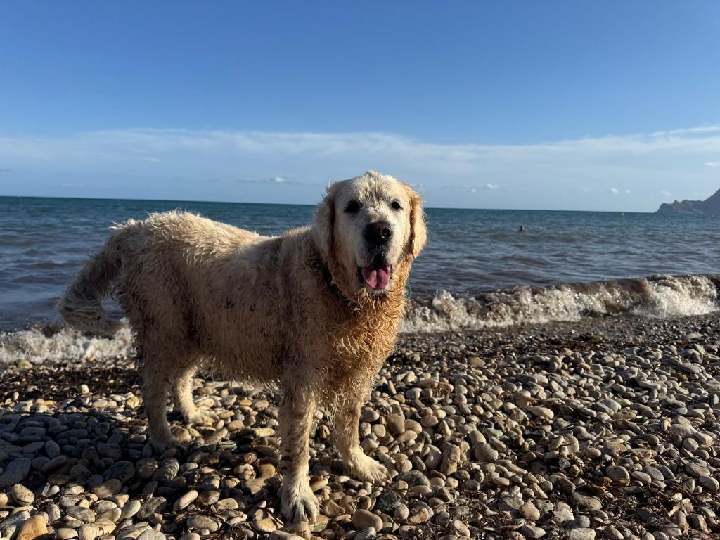 Shan Deu Lo Dama - Bon anniversaire 