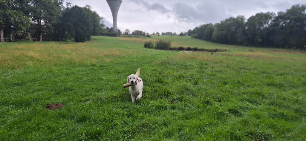 Entraînement TAN à Confrançon 