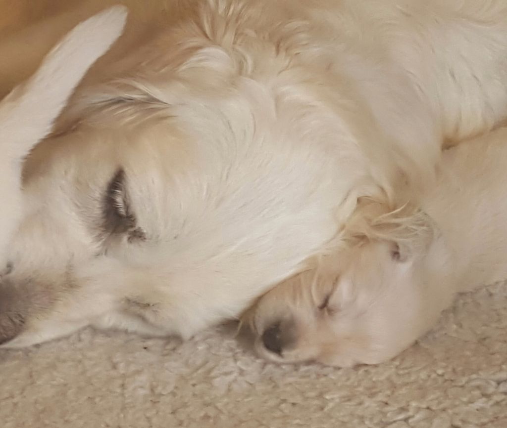 Moments de tendresse avec les bébés de Fidji Yenoh 